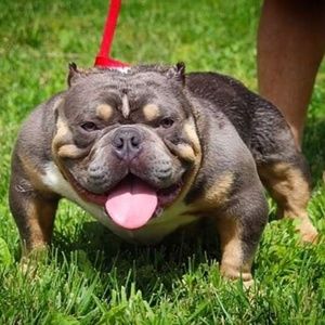 Meet your Posher, Rick